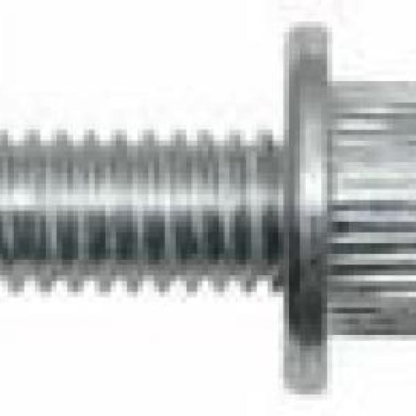 Заклепка винтовая с плоским бортом